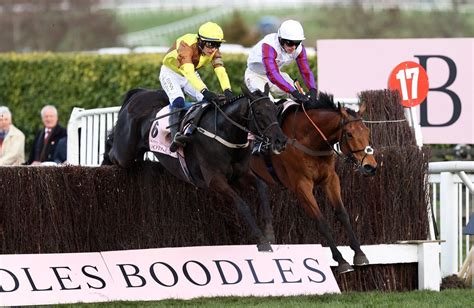 cheltenham festival results